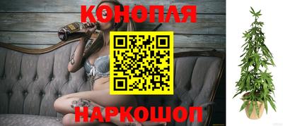 мяу мяу мука Лесосибирск