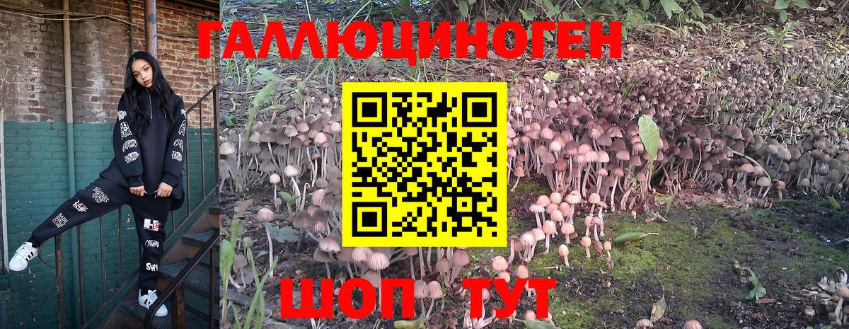 Псилоцибиновые грибы MAGIC MUSHROOMS  Вход с VPN  Учалы  Галлюциногенные грибы MAGIC MUSHROOMS 