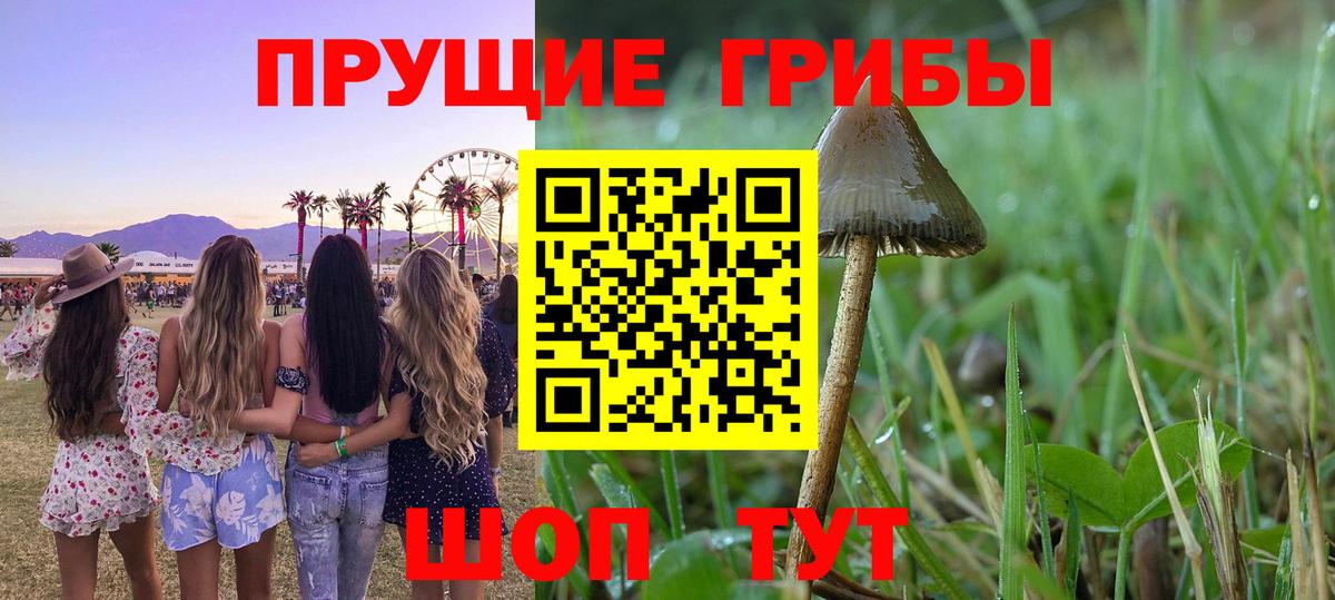 Псилоцибиновые грибы GOLDEN TEACHER Учалы